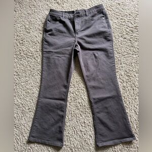Brown Democracy “Ab”solution boot cut pants - Size 12P